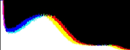 Histogram